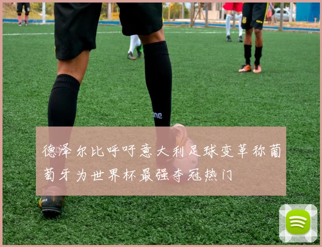 德泽尔比呼吁意大利足球变革称葡萄牙为世界杯最强夺冠热门