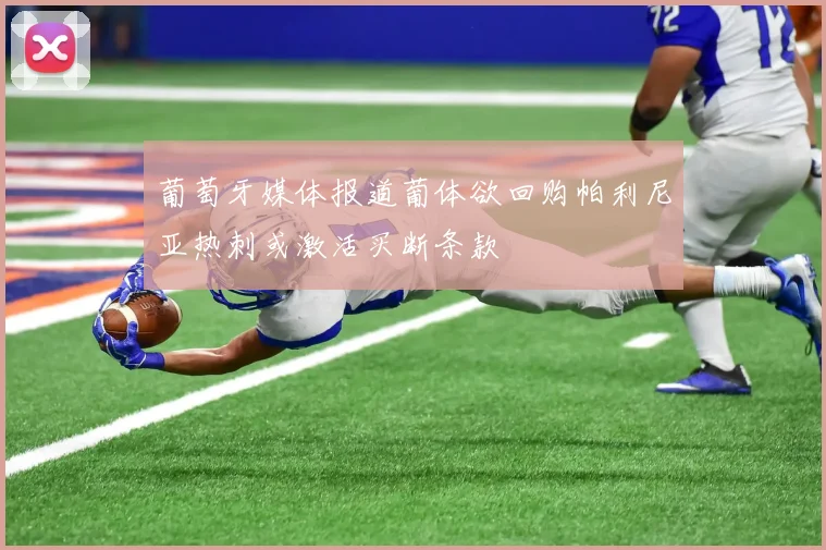 葡萄牙媒体报道葡体欲回购帕利尼亚热刺或激活买断条款
