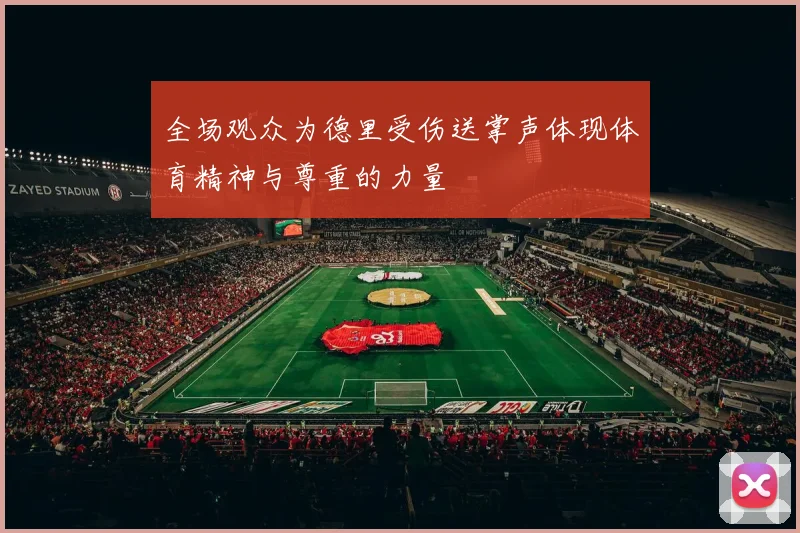 全场观众为德里受伤送掌声体现体育精神与尊重的力量